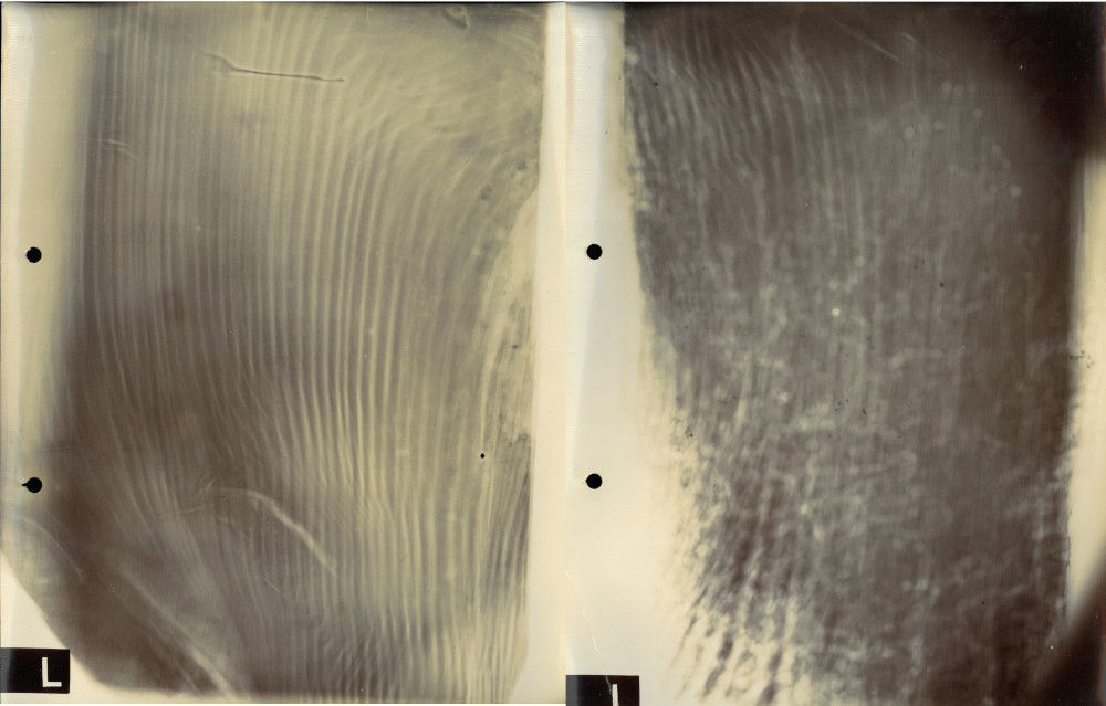 X-Rays of beams attacked by deathwatch beetle. A ‘sound end’ of the timbers (left) and an ‘attacked end’ of the timbers (right), 1923 (MT/6/RBW/226)